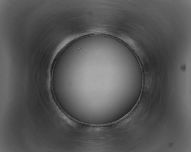 X0000096641286200802121101