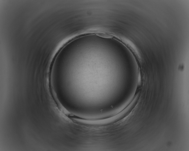X0000096641288200802121101