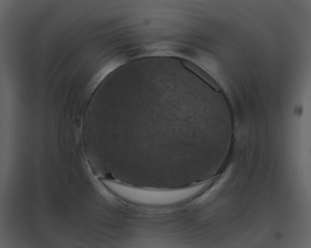 X0000096641289200802121101