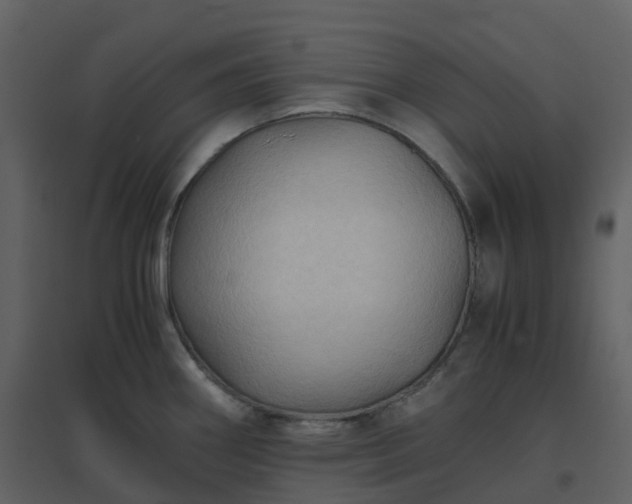 X0000096641290200802121101