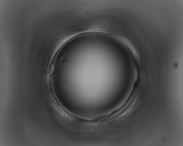 X0000096641292200802121101