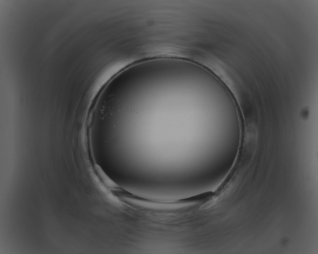 X0000096641293200802121101