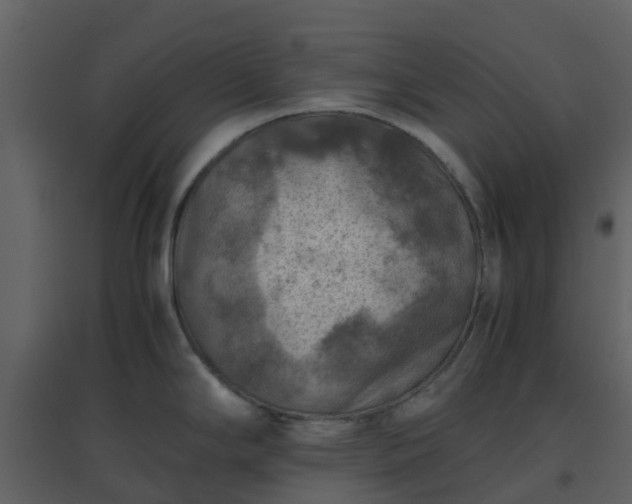 X0000096641294200802121101