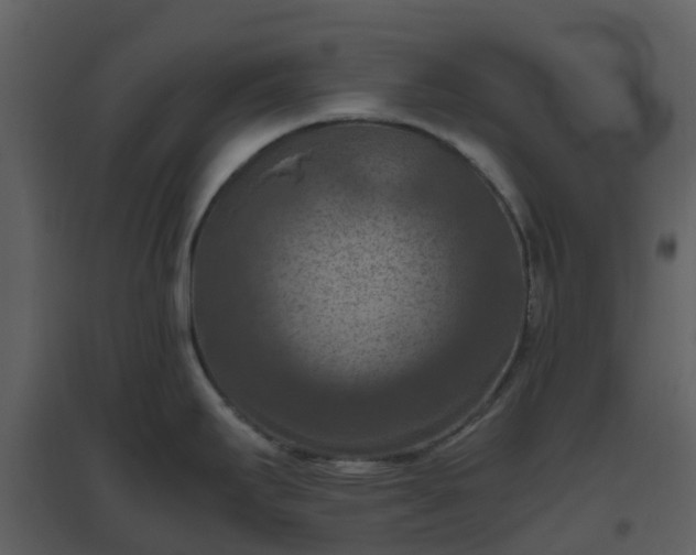 X0000096641295200802121101