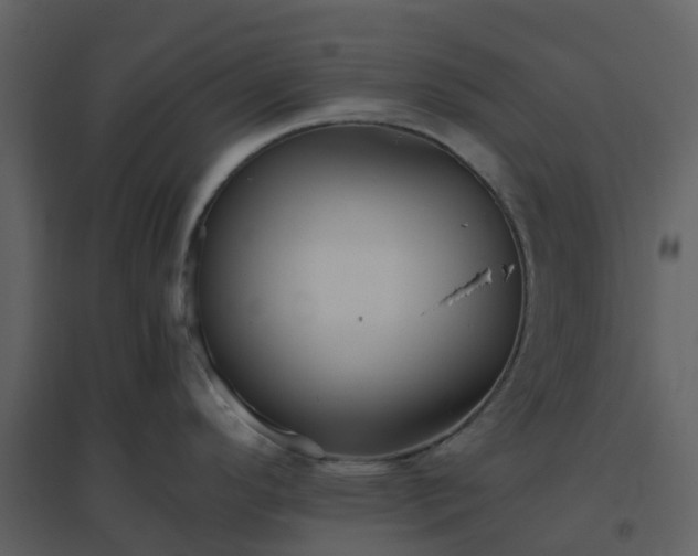 X0000096641296200802121101