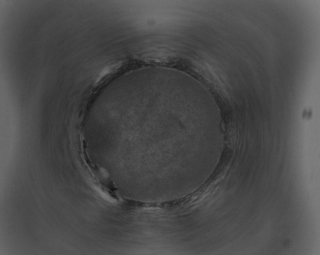 X0000096641297200802121100