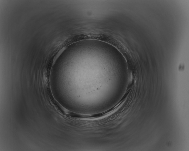 X0000096641298200802121100