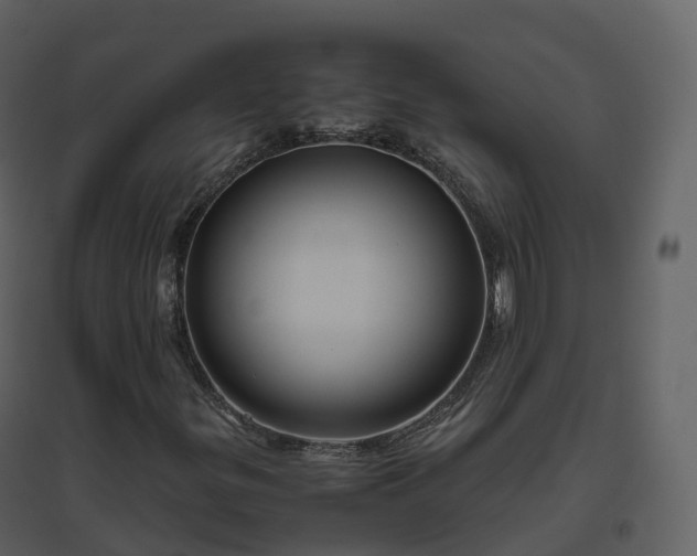 X0000096641299200802121100