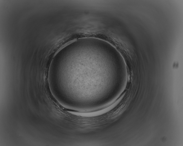 X0000096641300200802121100
