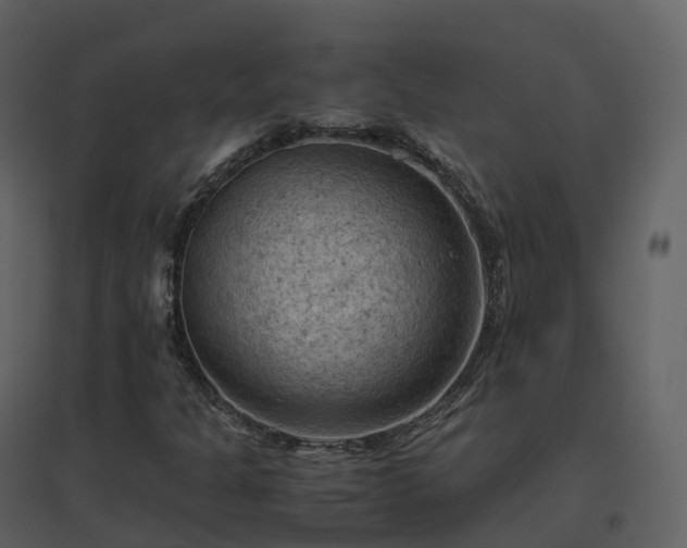 X0000096641301200802121100