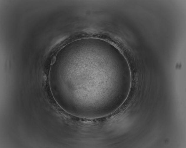 X0000096641302200802121100