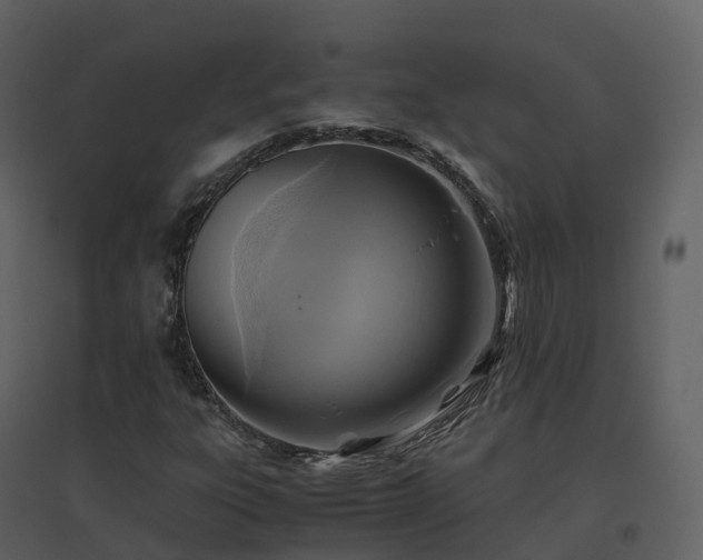 X0000096641303200802121100