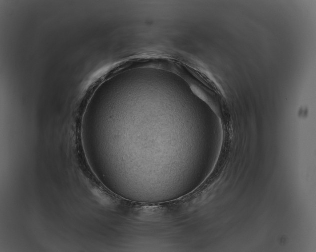 X0000096641304200802121100