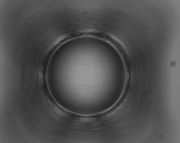 X0000096641305200802121100