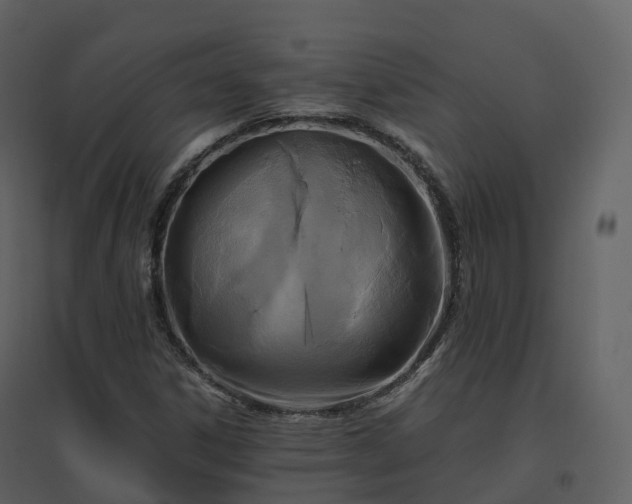 X0000096641306200802121100