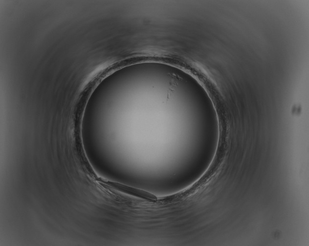 X0000096641307200802121100