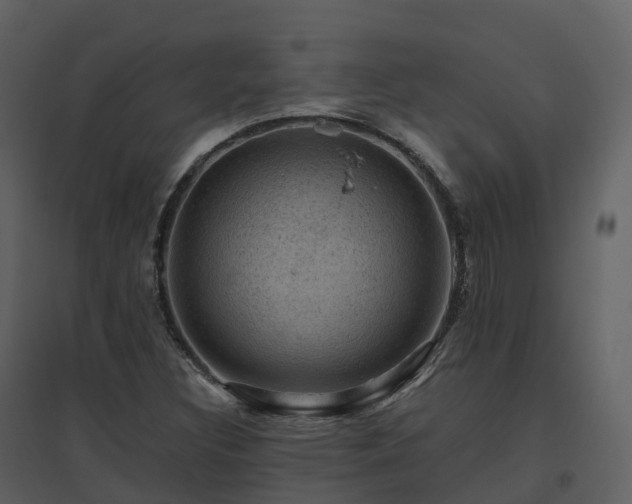 X0000096641308200802121100