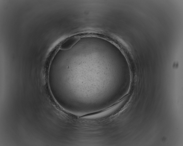 X0000096641310200802121101