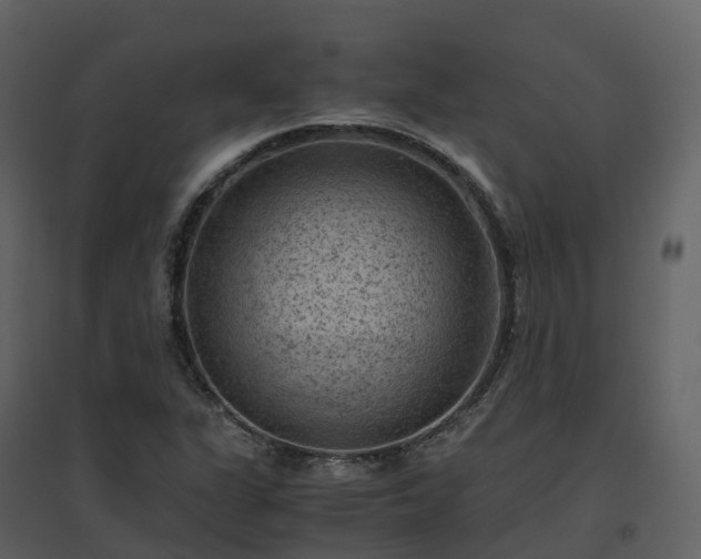 X0000096641311200802121101