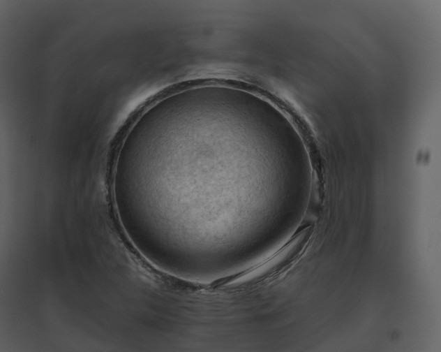 X0000096641312200802121101