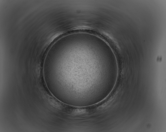 X0000096641313200802121101