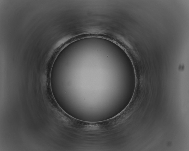 X0000096641315200802121101