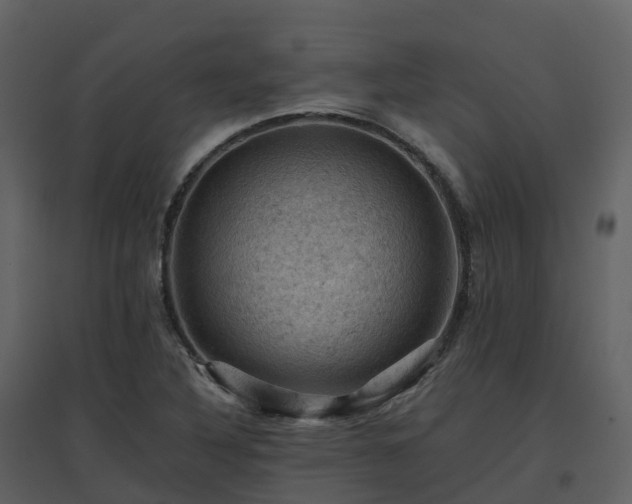 X0000096641316200802121101