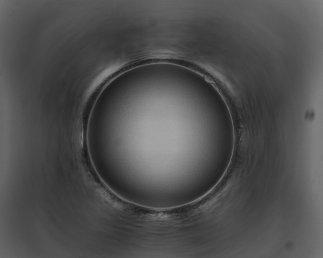 X0000096641317200802121101