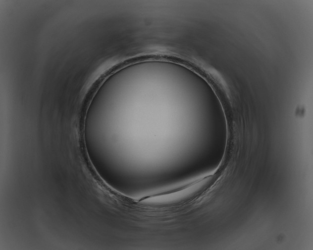 X0000096641318200802121101