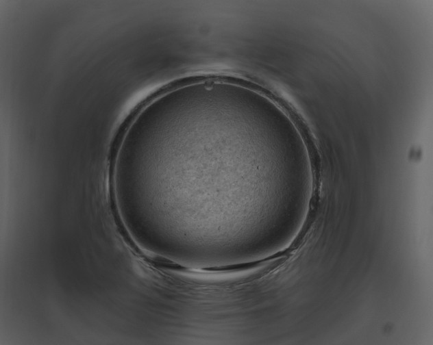 X0000096641320200802121101