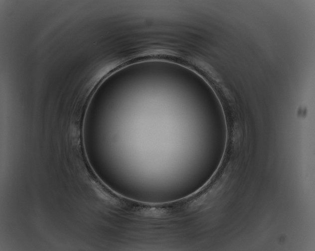 X0000096641321200802121101