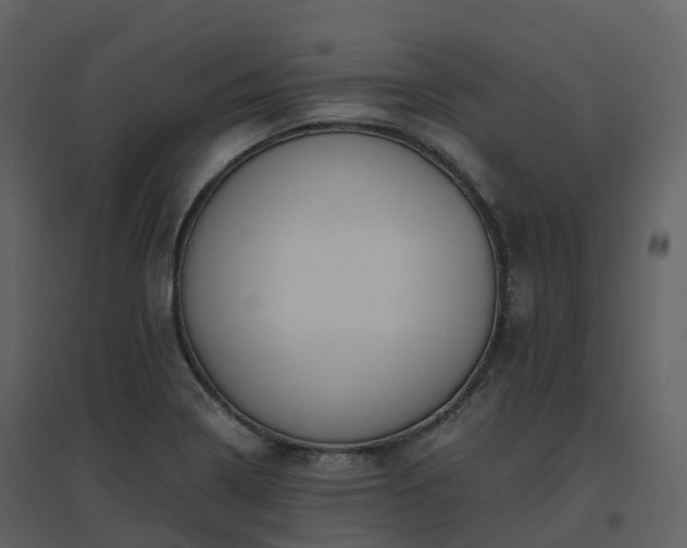 X0000096641322200802121101
