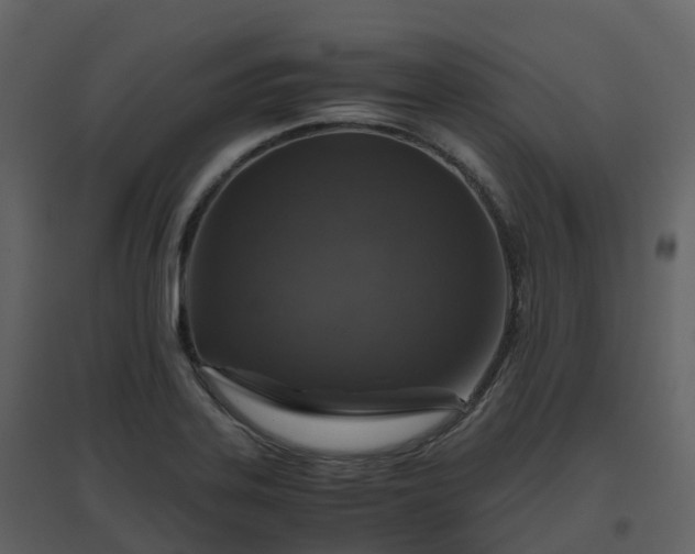 X0000096641323200802121101
