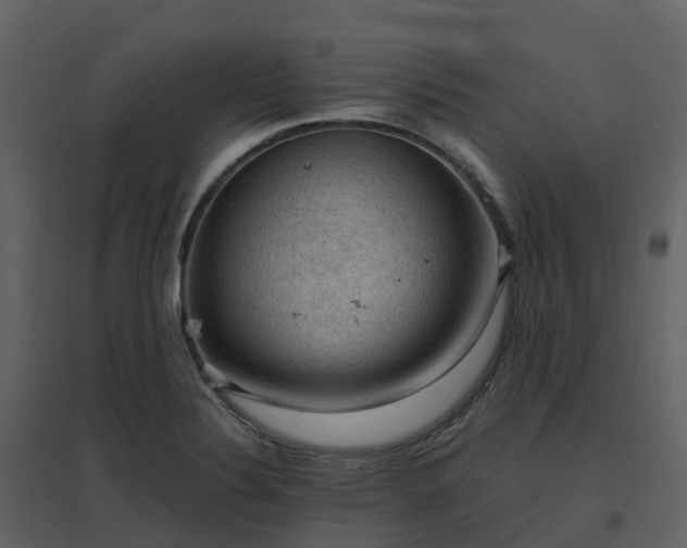 X0000096641324200802121101