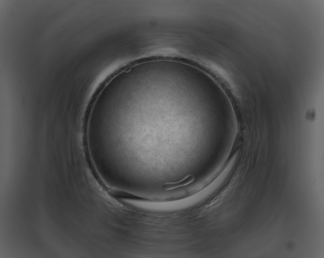 X0000096641326200802121101