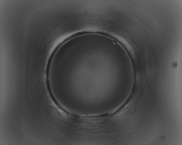 X0000096641327200802121101