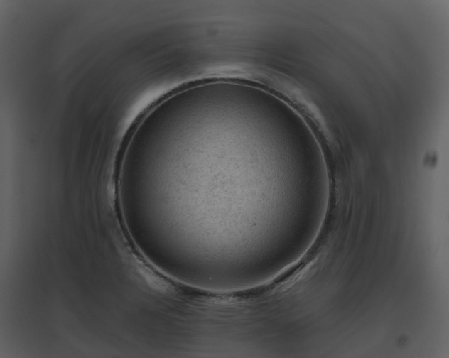 X0000096641328200802121101