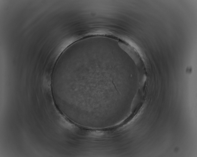 X0000096641329200802121101