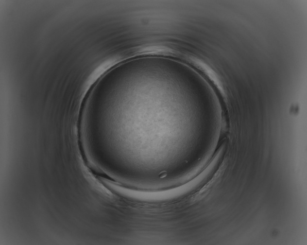 X0000096641330200802121101