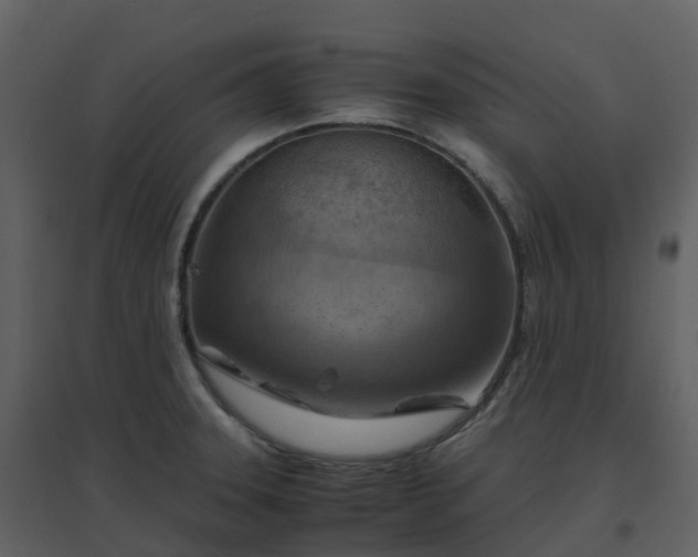 X0000096641331200802121101
