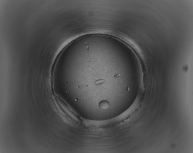 X0000096641332200802121101