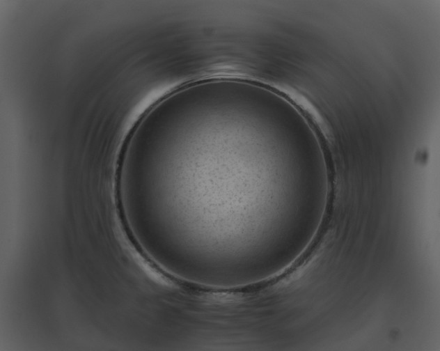 X0000096641333200802121101