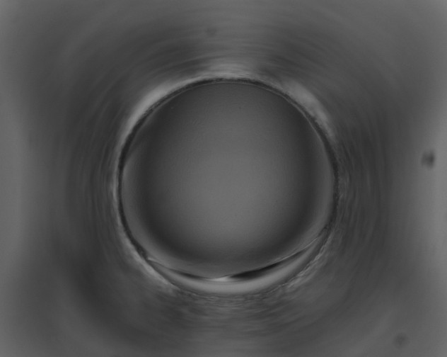 X0000096641334200802121101