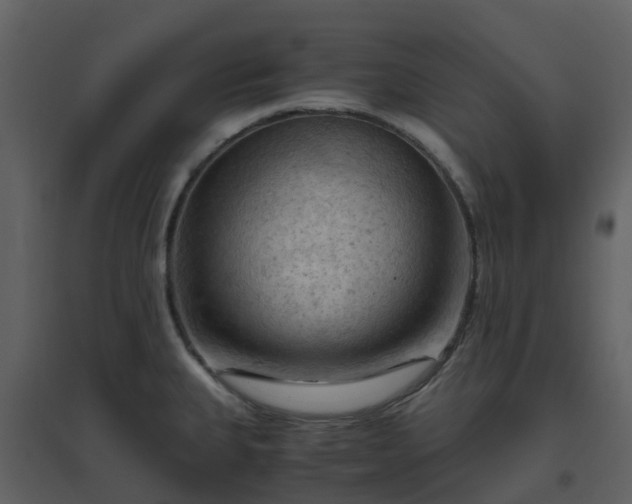 X0000096641335200802121101