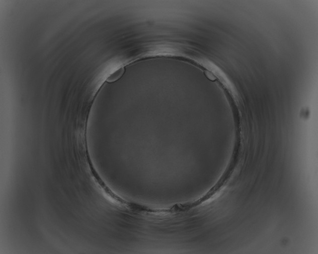 X0000096641337200802121101