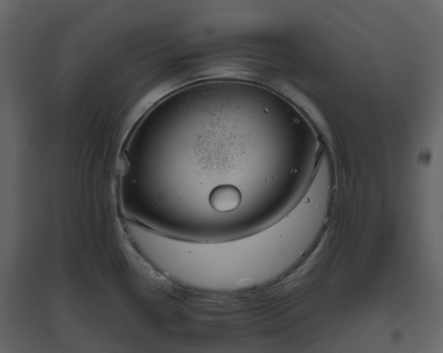 X0000096641338200802121101