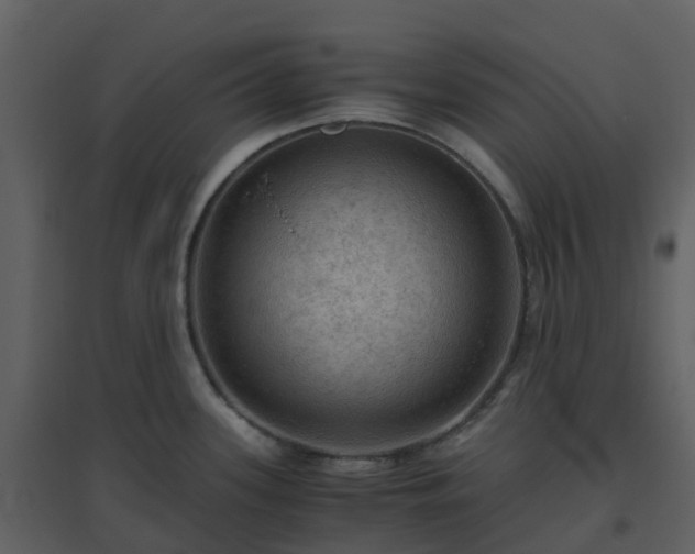 X0000096641339200802121101