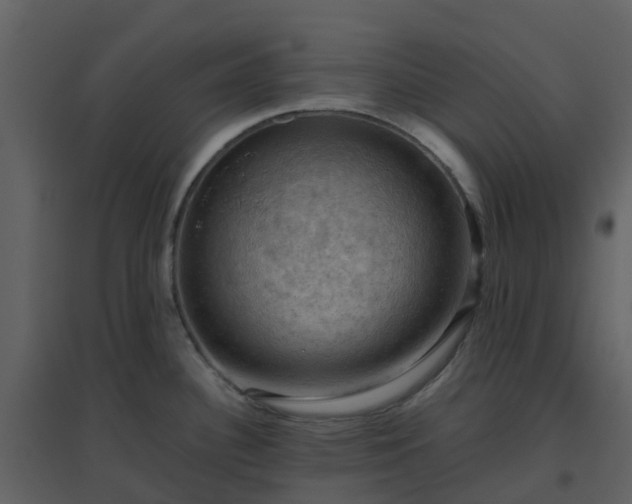 X0000096641340200802121101