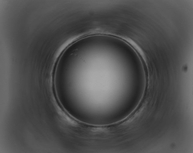 X0000096641341200802121101