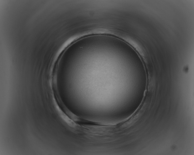 X0000096641342200802121101